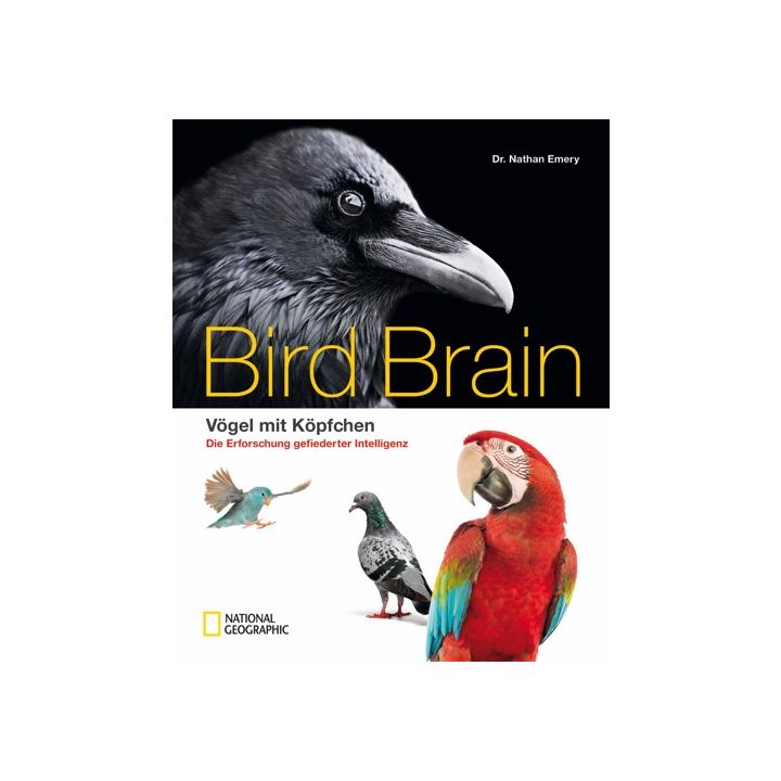 Bird Brain